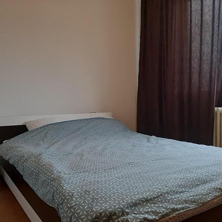 Ultracentral Apartment Bulevard Regele Mihai Nr 10, Sc A Ap 16 Timişoara Exteriör bild
